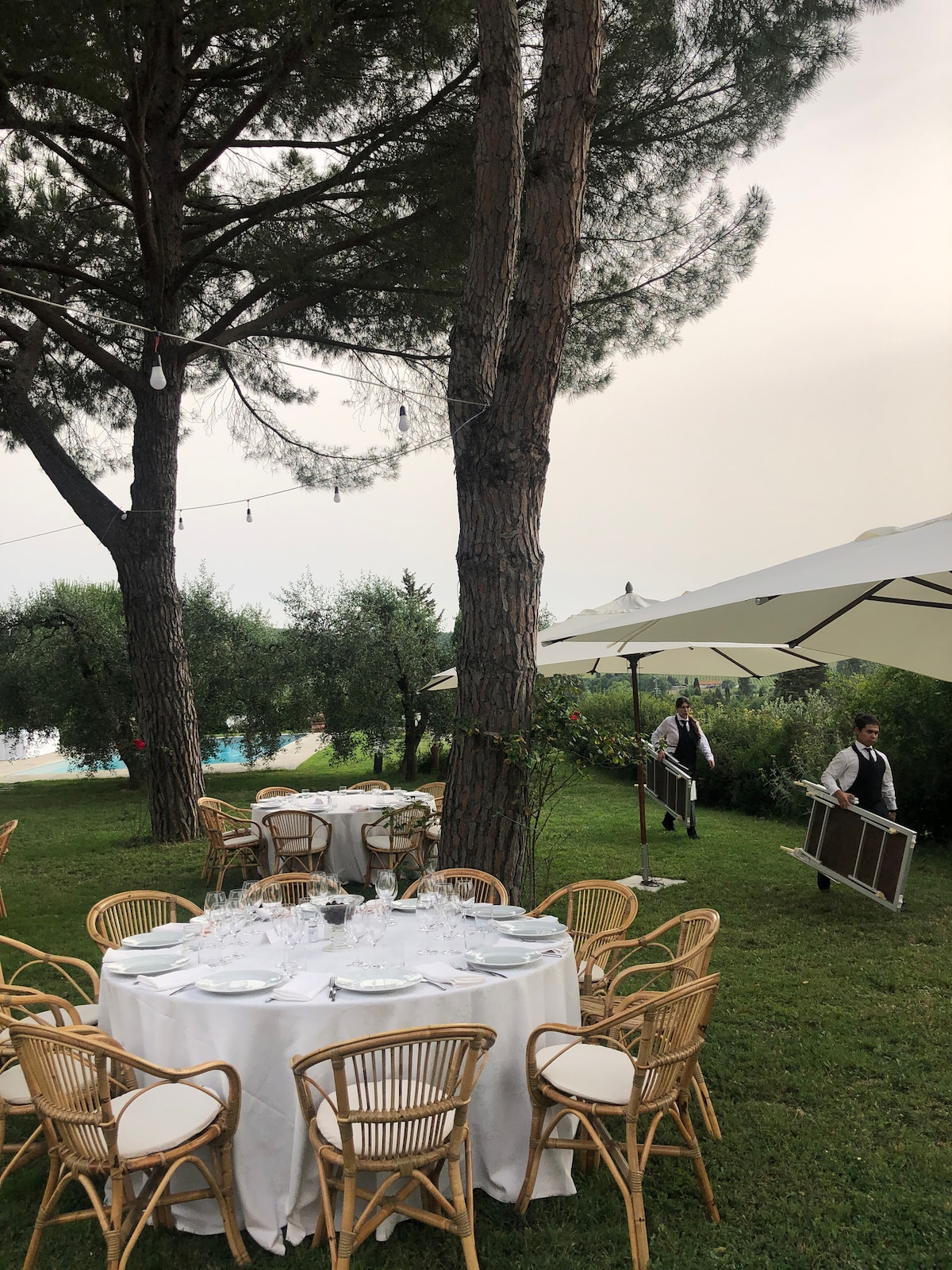 Garden tables and umbrellas under the trees