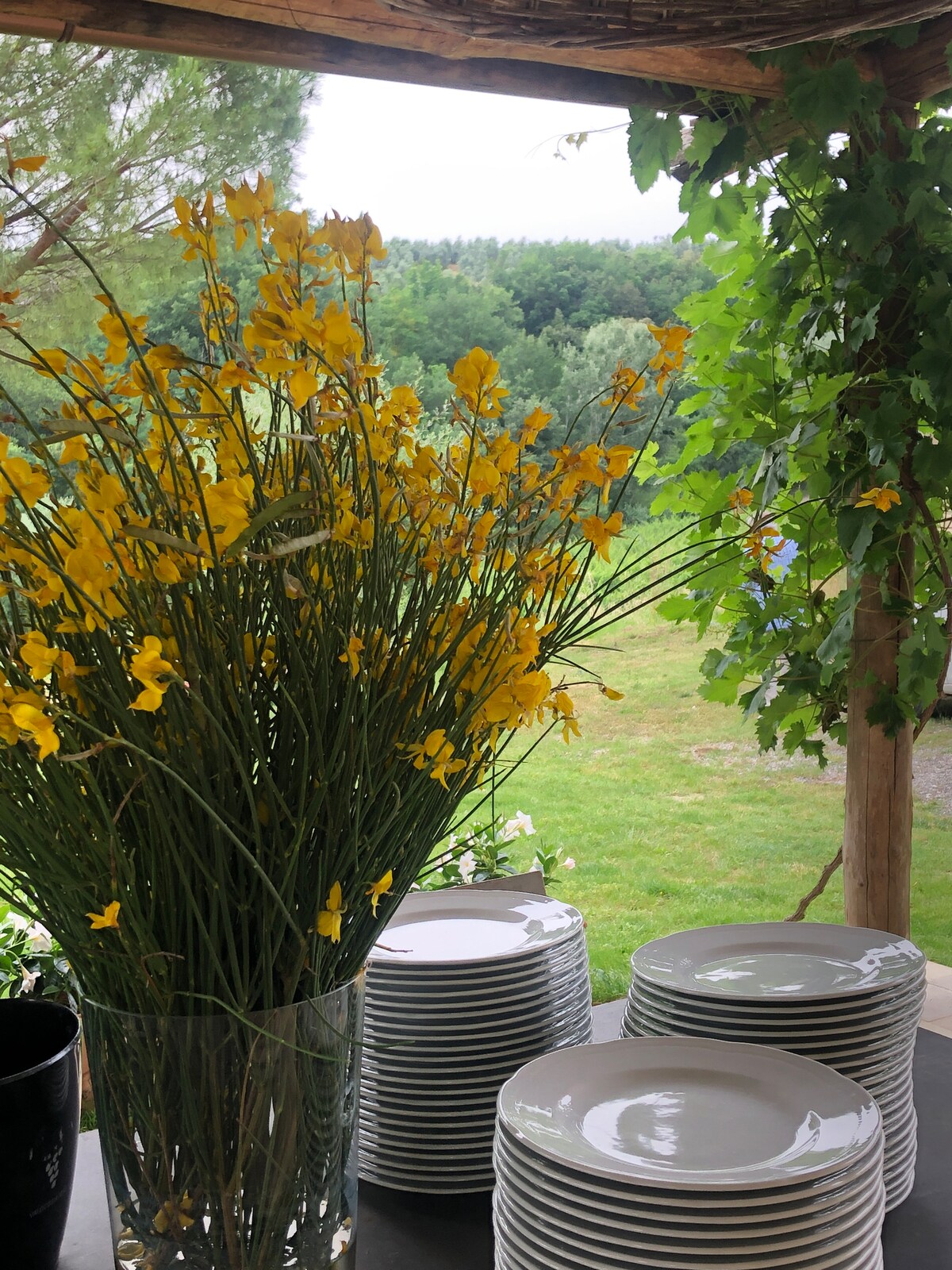 Flowers in the garden